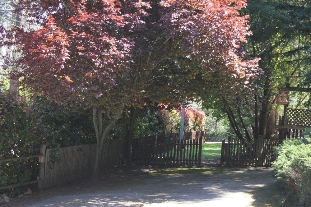 Jayes Timberlane Resort Ben Lomond Bagian luar foto